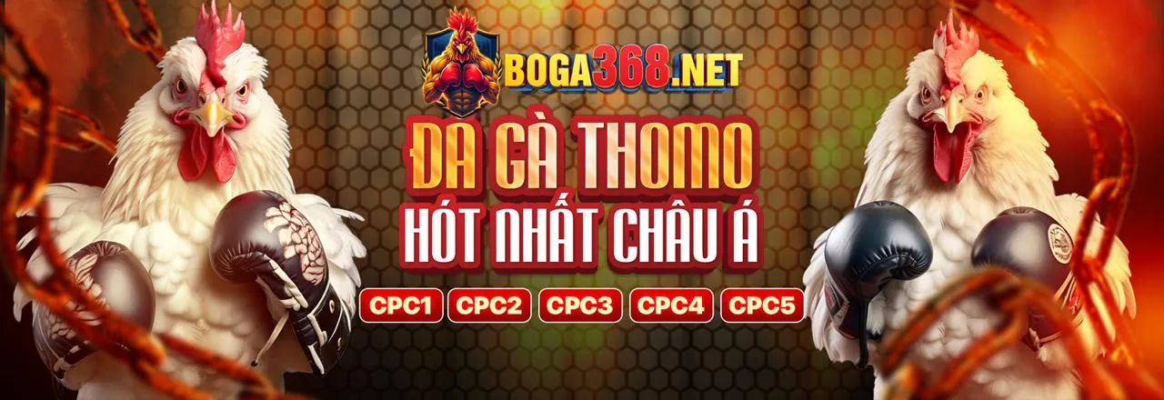Hình ảnh gà đá trực tuyến tại 7clubs Nổ Hũ