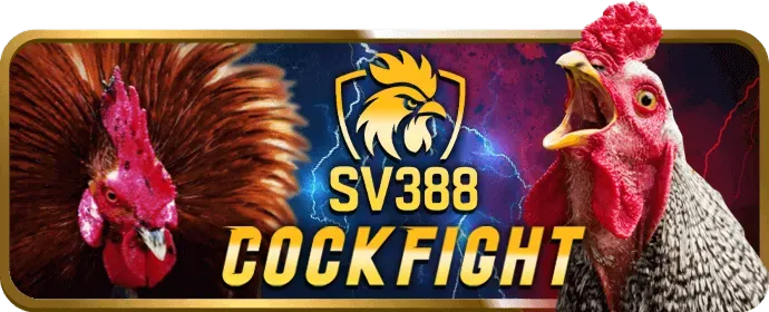 Hướng dẫn đăng ký và tham gia gà đá tại 7clubs Nổ Hũ